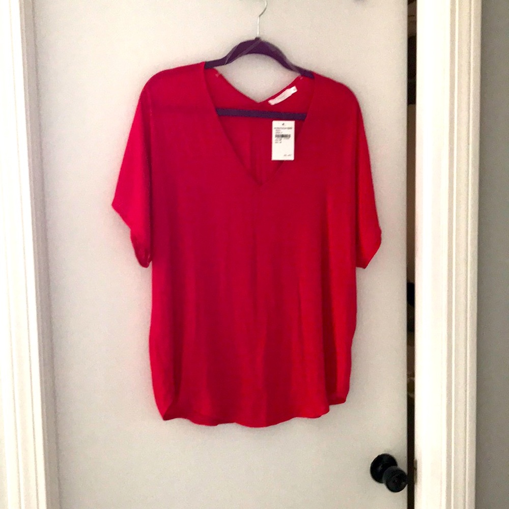 Bright Pink Lush brand sheer top